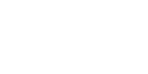 Hexagon logo